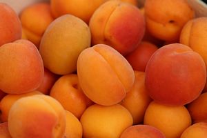 Will Apricots reduce Inflammation?