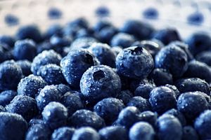 Are Blueberries high in Antioxidants?