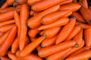 Are Carrots high in Protein?