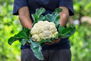 Is Cauliflower Keto?