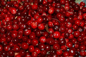 Are Cranberries Keto?