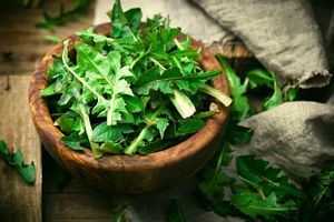 Do Dandelion Greens have Minerals?