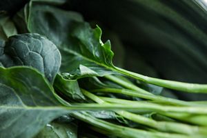 Are Mustard Greens rich in Vitamins?