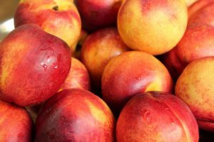 Are Nectarines high in Antioxidants?