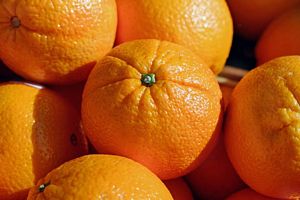 Can I Lose Weight eating Oranges?