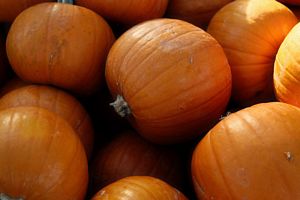 Is Pumpkin good for your Liver?