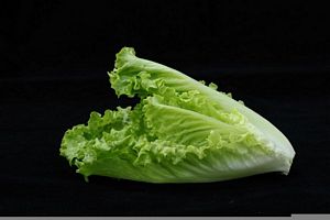 Is Romaine Lettuce high in Carbs?