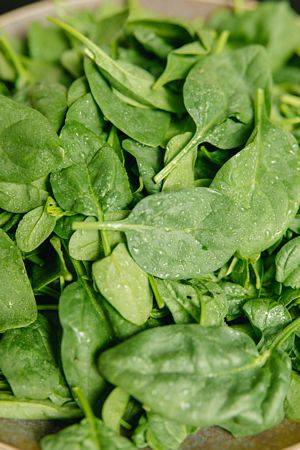 Is Spinach good for your Liver?